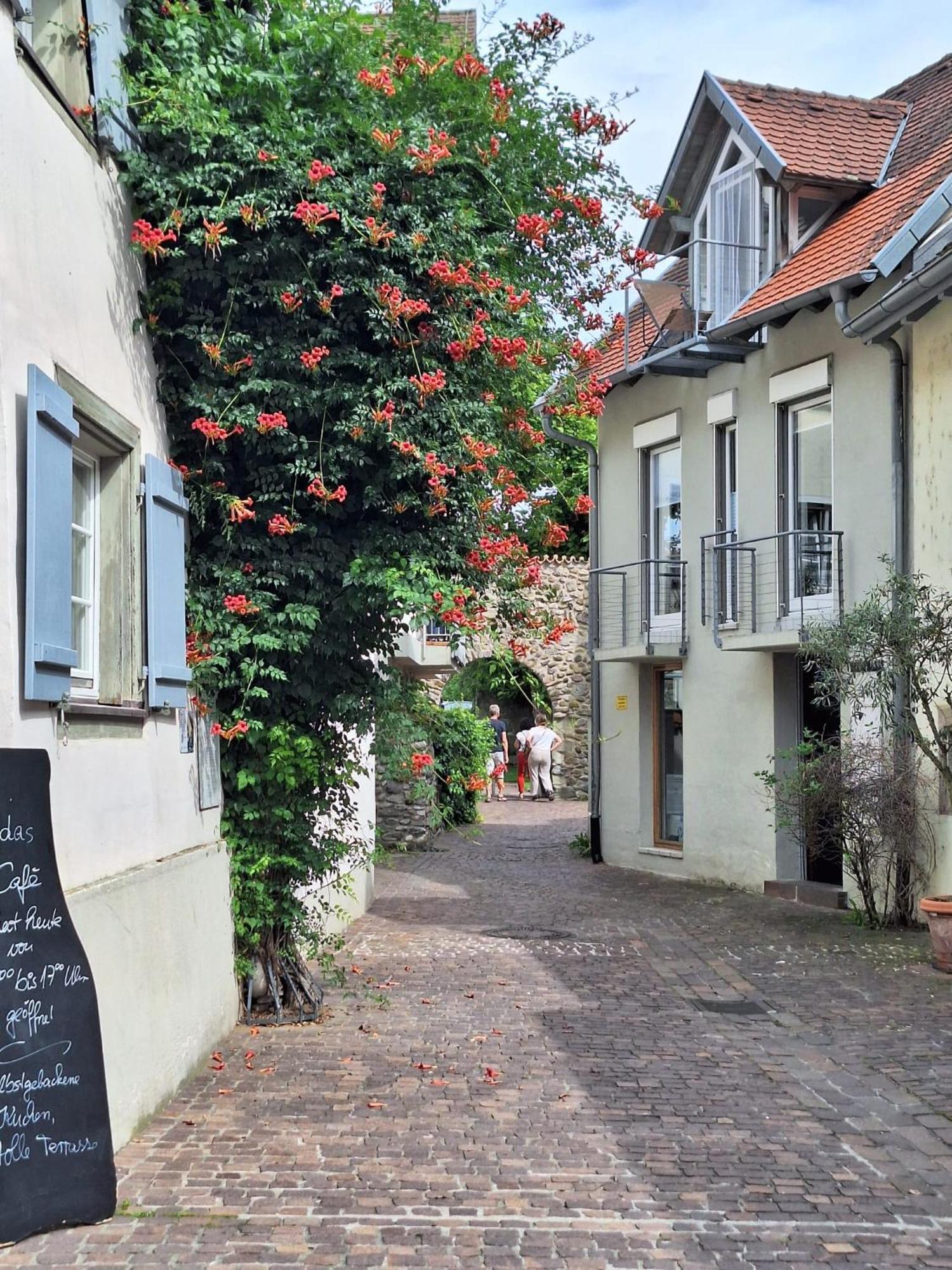 Ferienwohnung Ueberblick Radolfzell am Bodensee Exteriör bild